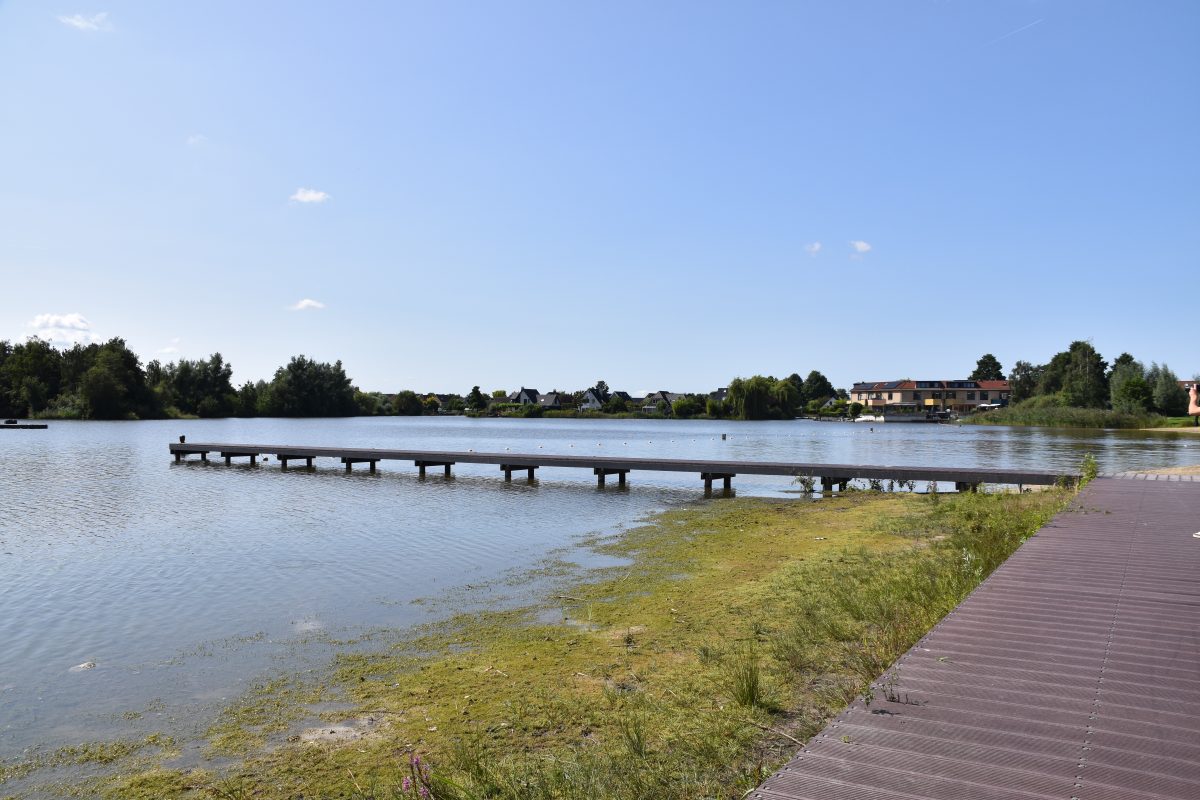 Kleine rietplas, Meren